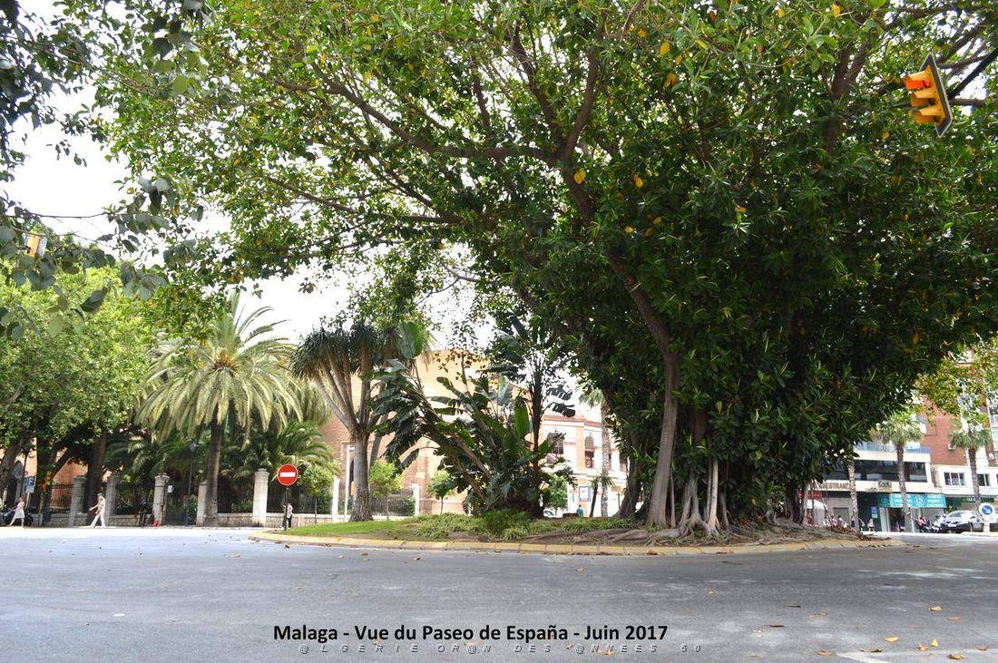 232- Malaga paseo de Espana.JPG